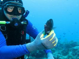 29 John and (dead) Blue Tang IMG 3711